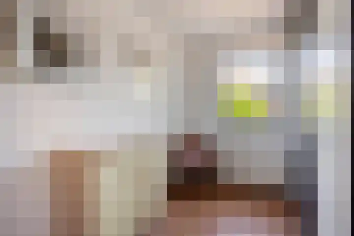 Huiskenshof 11 Roermond thumbnail 26