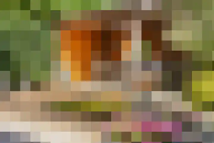 Huiskenshof 11 Roermond thumbnail 33