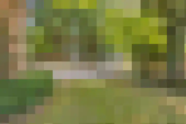 Huiskenshof 11 Roermond thumbnail 37