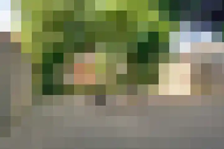 Huiskenshof 11 Roermond thumbnail 38