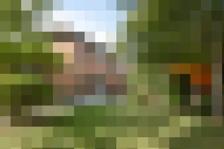 Huiskenshof 11 Roermond thumbnail 40