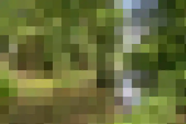 Huiskenshof 11 Roermond thumbnail 45