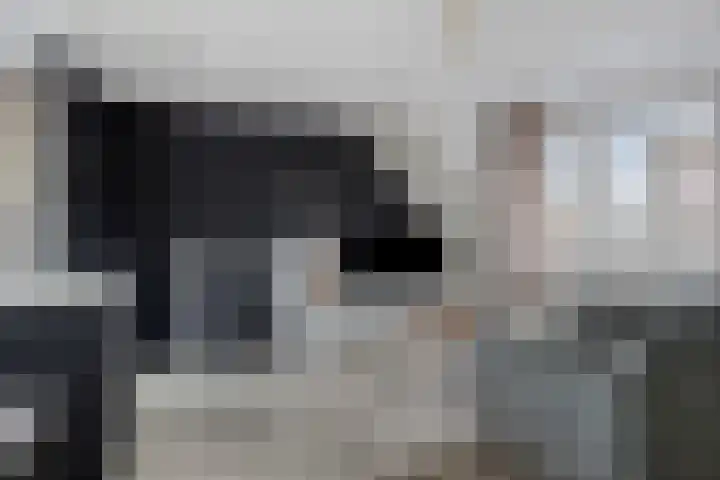 Huiskensstraat 18 Helmond thumbnail 20