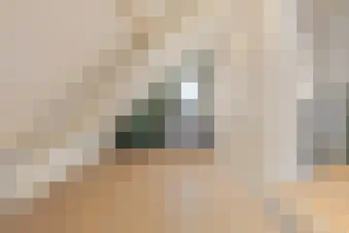 Huiskensstraat 27 Venlo thumbnail 31