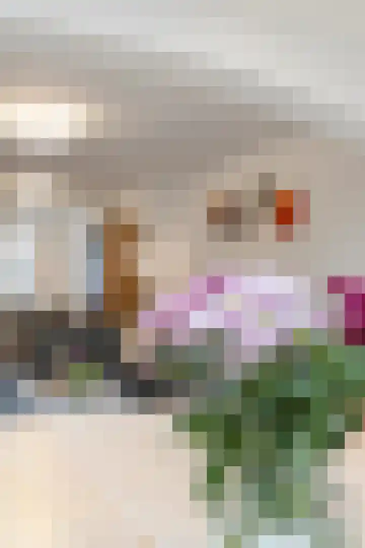 Huiskensstraat 27 Venlo thumbnail 42