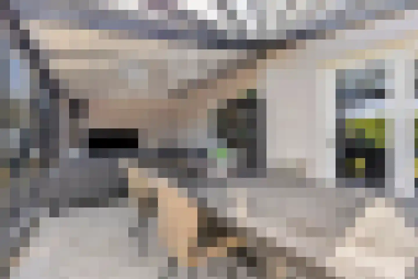 Huiskensstraat 30 Venlo thumbnail 10