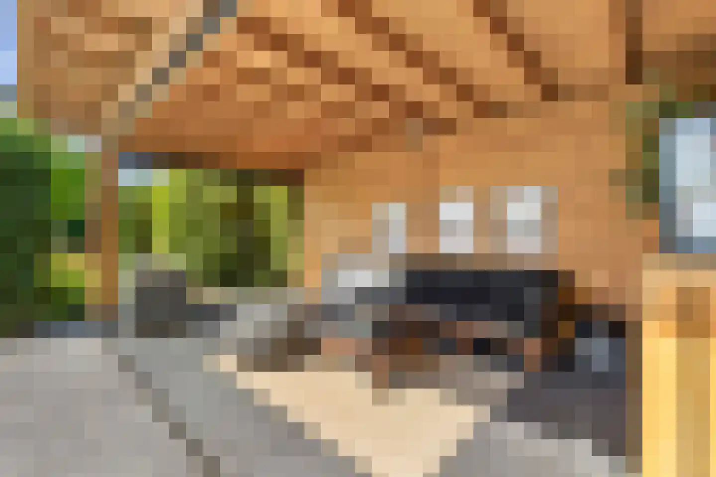 Huiskensstraat 30 Venlo thumbnail 21