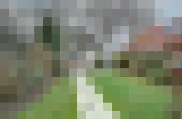 Huismanstraat 24 Huissen thumbnail 33