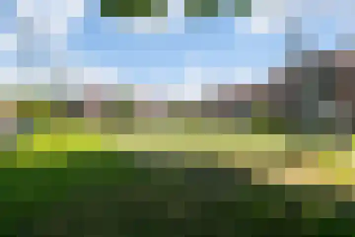 Huismanstraat 3 Huissen thumbnail 35