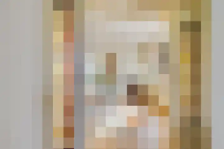 Huismanstraat 3 Huissen thumbnail 6