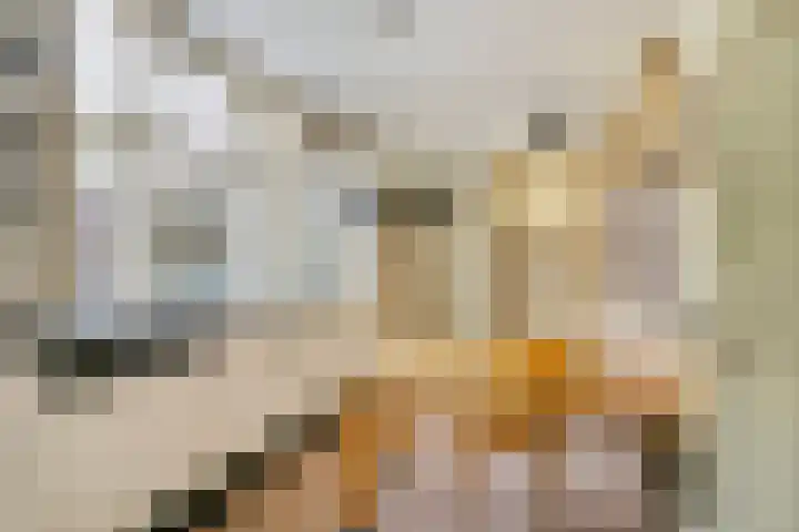 Huismanstraat 3 Huissen thumbnail 9