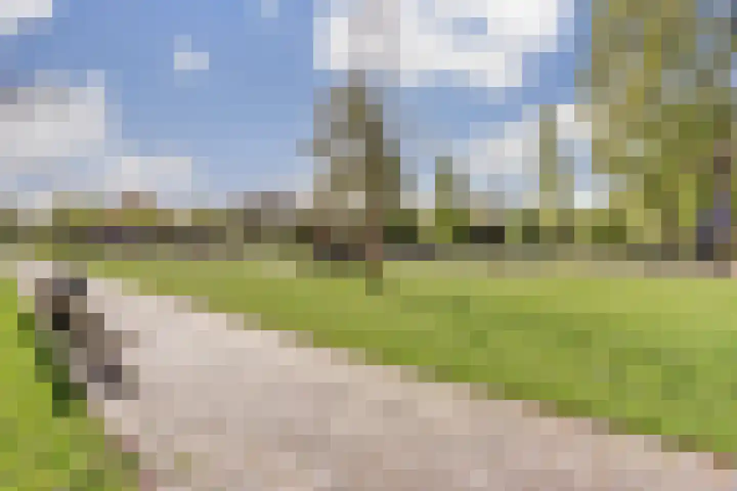 Huismanstraat 59 Rotterdam thumbnail 31