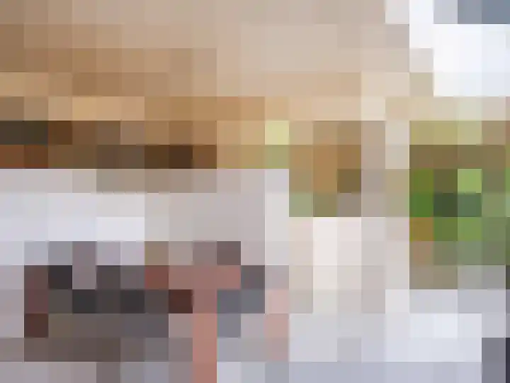Huismansweg 11 Schoorl thumbnail 12