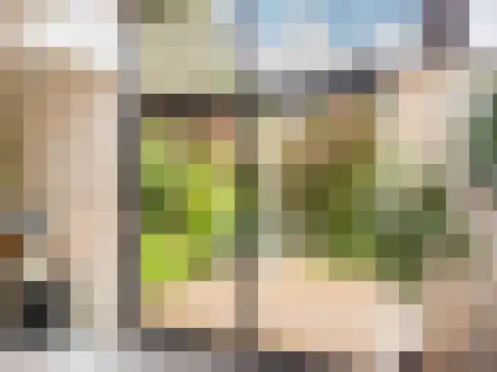 Huismansweg 11 Schoorl thumbnail 15