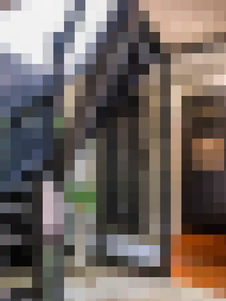 Huismansweg 11 Schoorl thumbnail 17