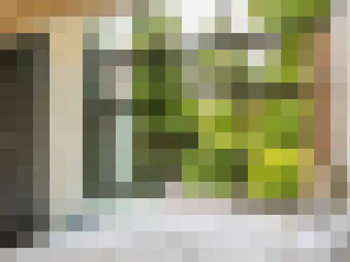 Huismansweg 11 Schoorl thumbnail 18