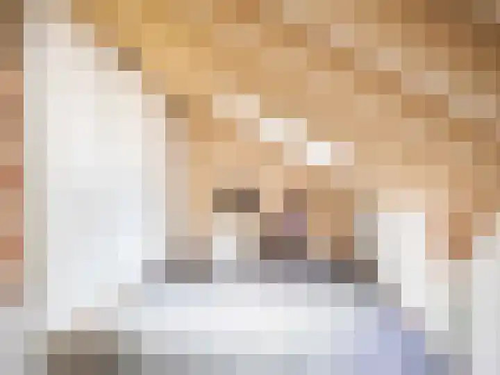 Huismansweg 11 Schoorl thumbnail 24