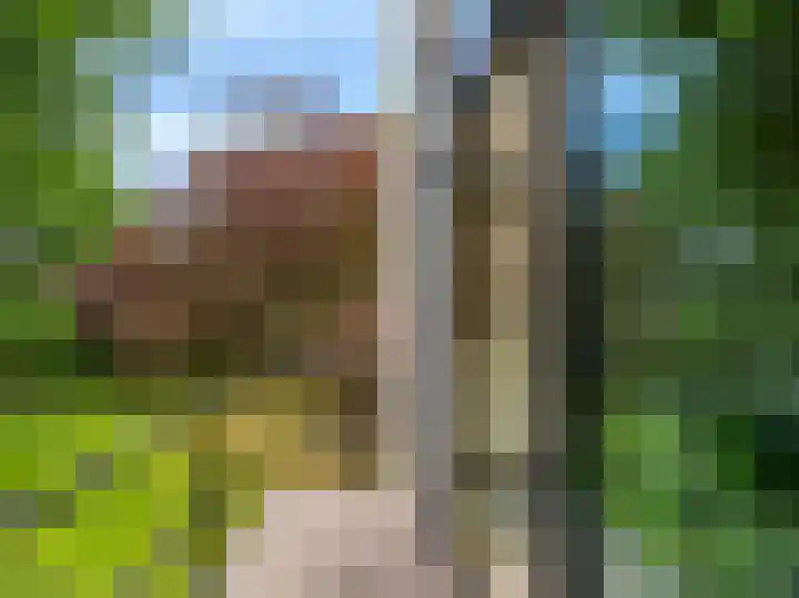 Huismansweg 11 Schoorl thumbnail 28