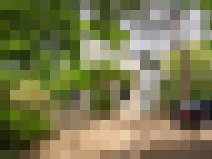 Huismansweg 11 Schoorl thumbnail 33