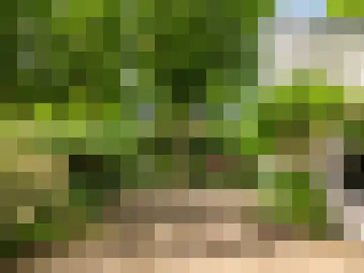 Huismansweg 11 Schoorl thumbnail 34