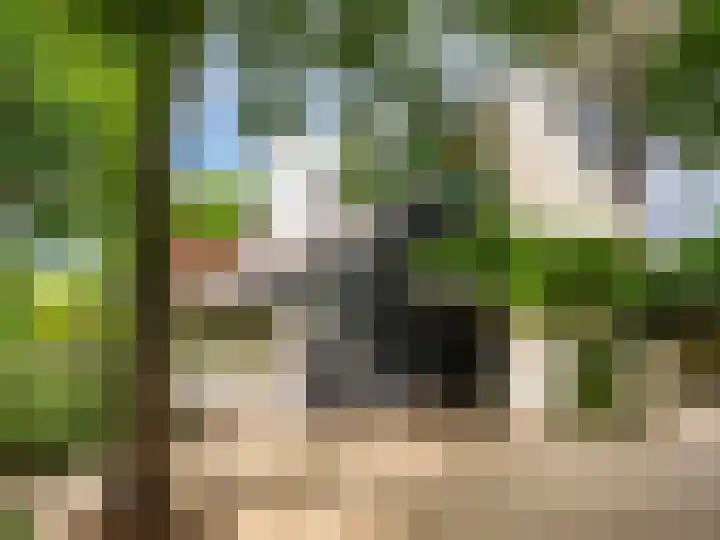 Huismansweg 11 Schoorl thumbnail 35