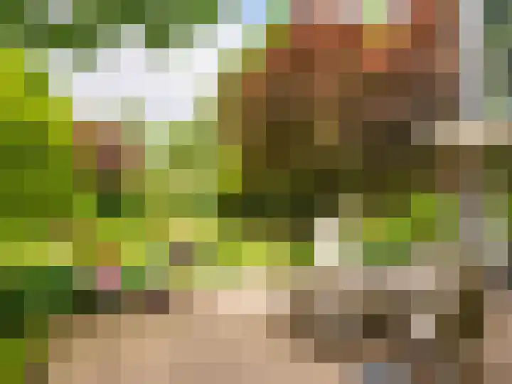 Huismansweg 11 Schoorl thumbnail 37