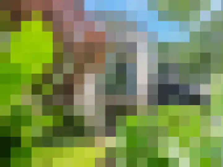 Huismansweg 11 Schoorl thumbnail 39