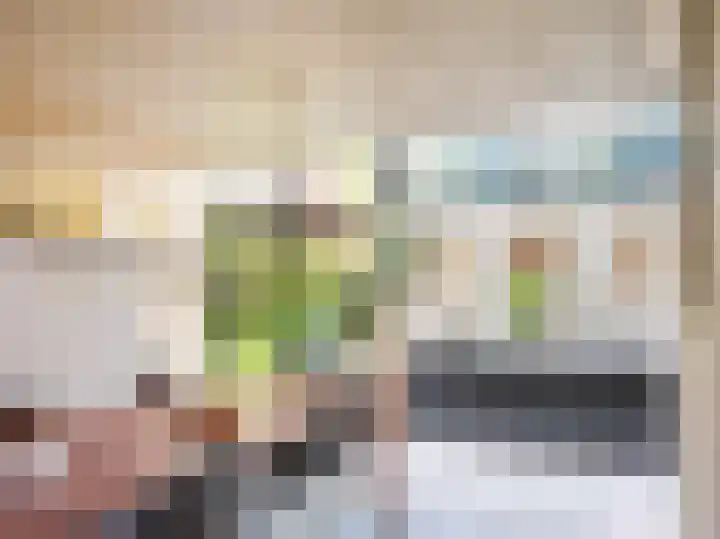 Huismansweg 11 Schoorl thumbnail 4