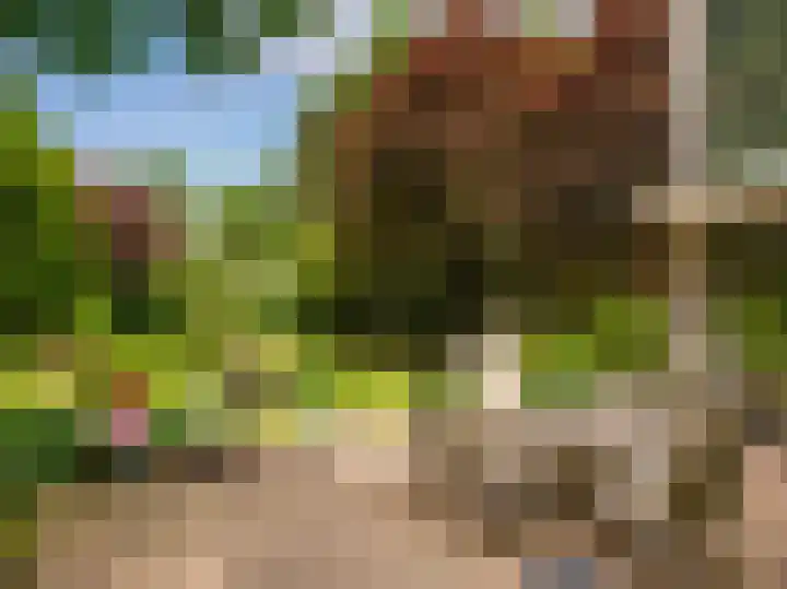 Huismansweg 11 Schoorl thumbnail 40