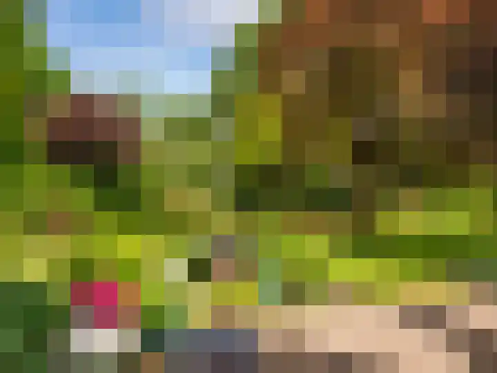 Huismansweg 11 Schoorl thumbnail 41
