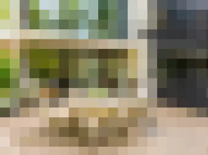 Huismansweg 11 Schoorl thumbnail 42