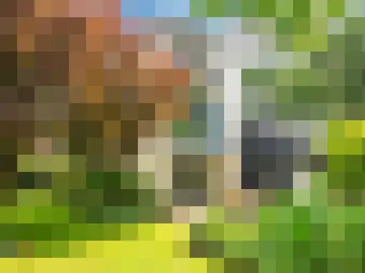Huismansweg 11 Schoorl thumbnail 43