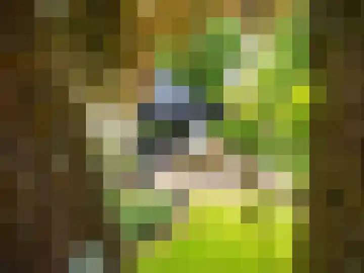 Huismansweg 11 Schoorl thumbnail 44
