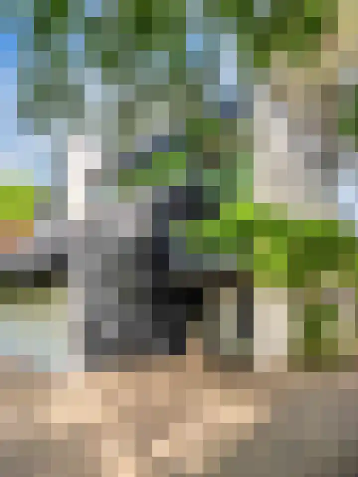 Huismansweg 11 Schoorl thumbnail 45