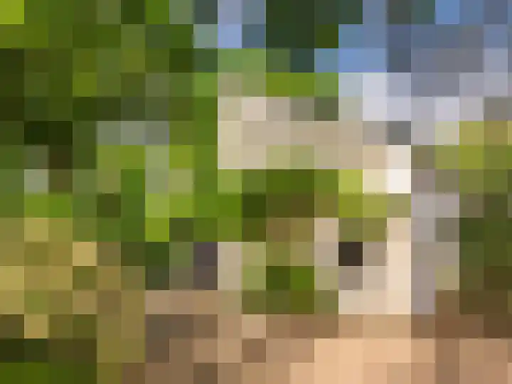 Huismansweg 11 Schoorl thumbnail 46