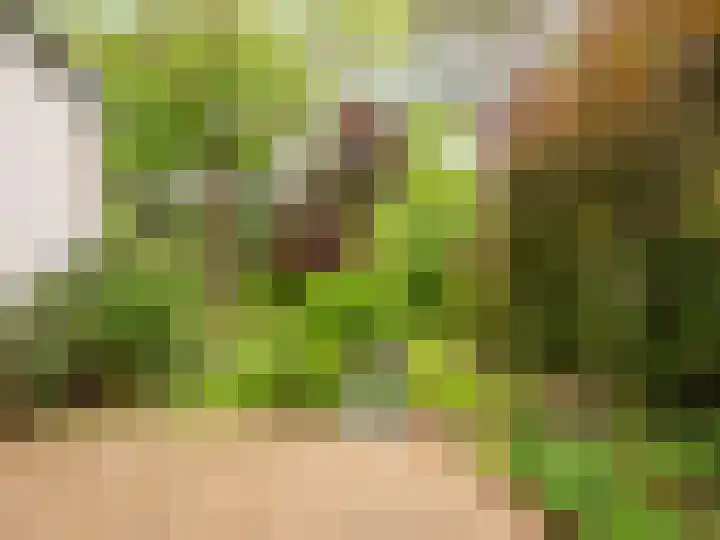Huismansweg 11 Schoorl thumbnail 47