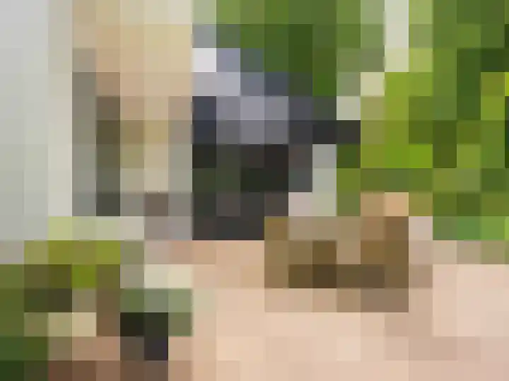 Huismansweg 11 Schoorl thumbnail 48