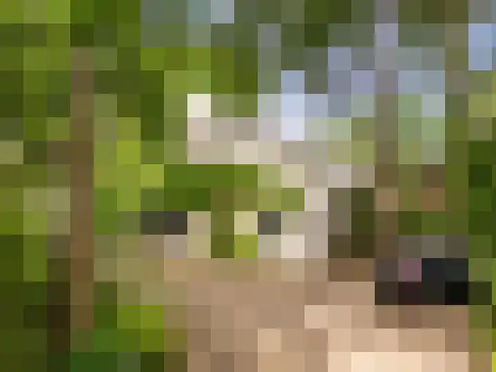 Huismansweg 11 Schoorl thumbnail 49