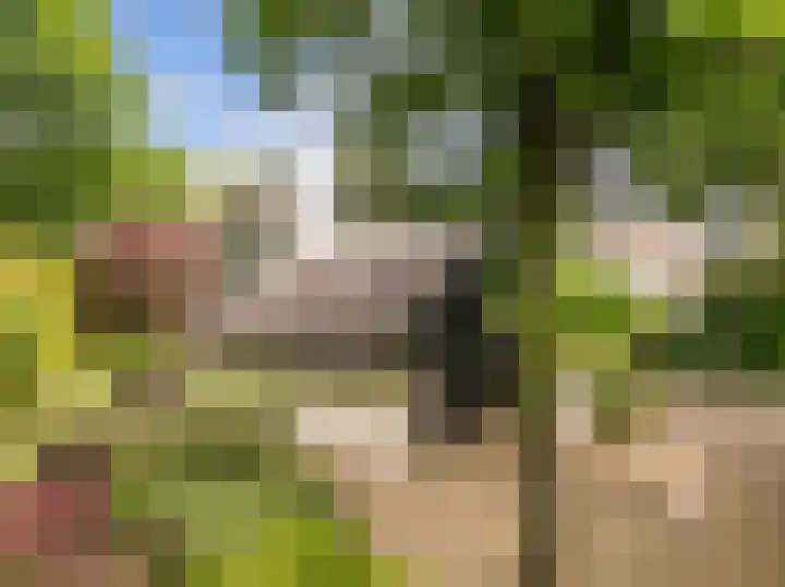 Huismansweg 11 Schoorl thumbnail 50