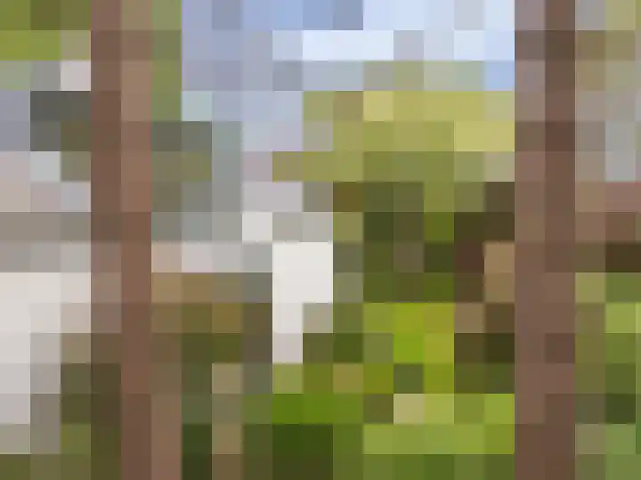 Huismansweg 11 Schoorl thumbnail 52