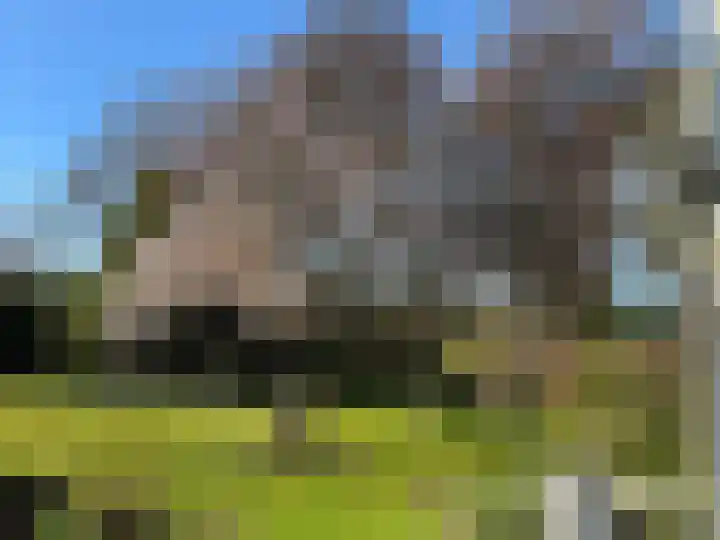 Huismansweg 11 Schoorl thumbnail 55