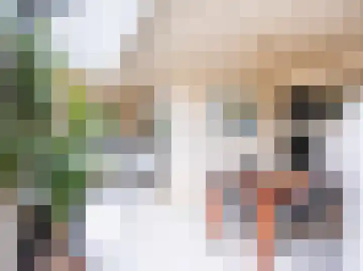 Huismansweg 11 Schoorl thumbnail 7