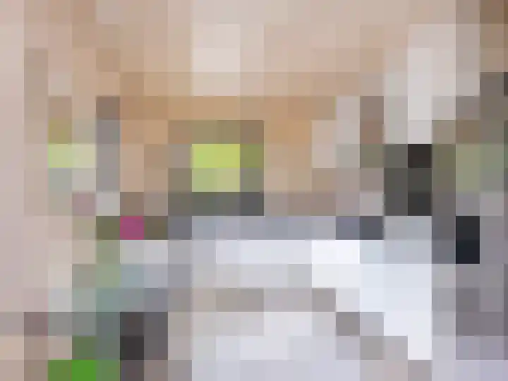 Huismansweg 11 Schoorl thumbnail 8