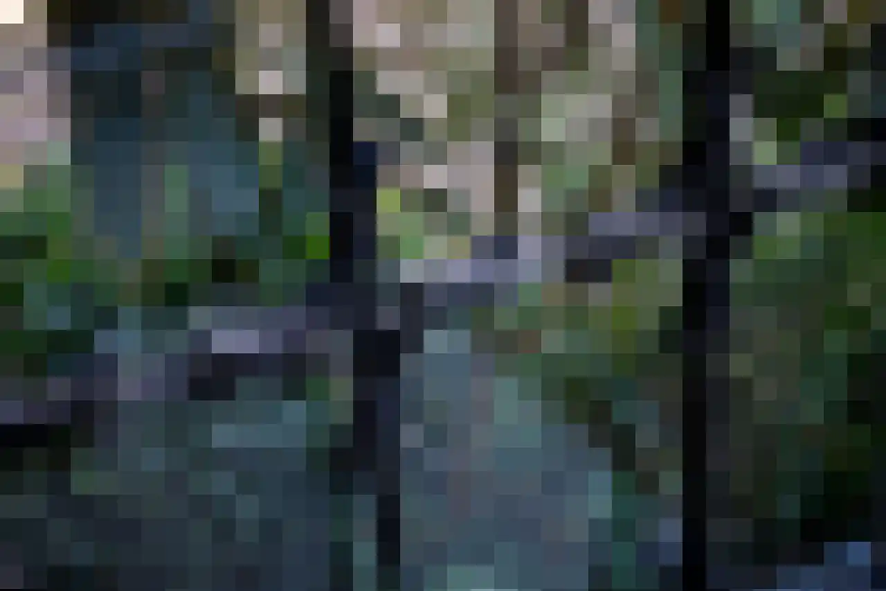 Huismansweg 13 Schoorl thumbnail 12