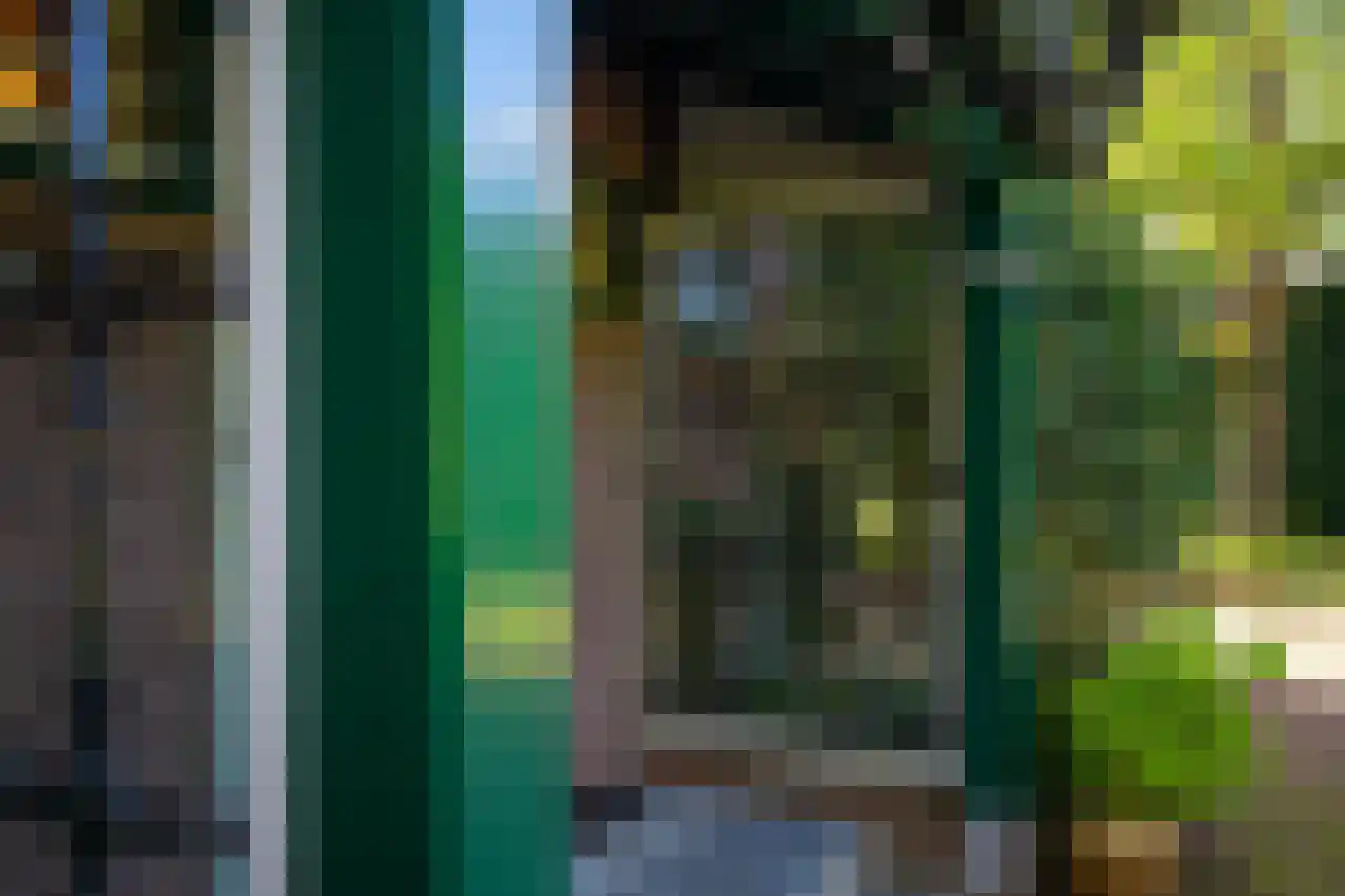 Huismansweg 13 Schoorl thumbnail 13