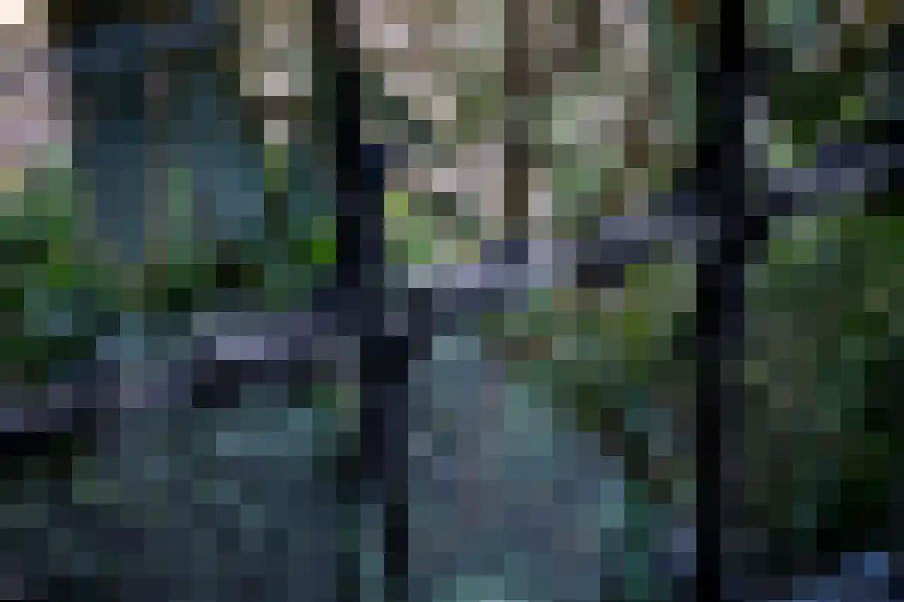 Huismansweg 13 Schoorl thumbnail 14