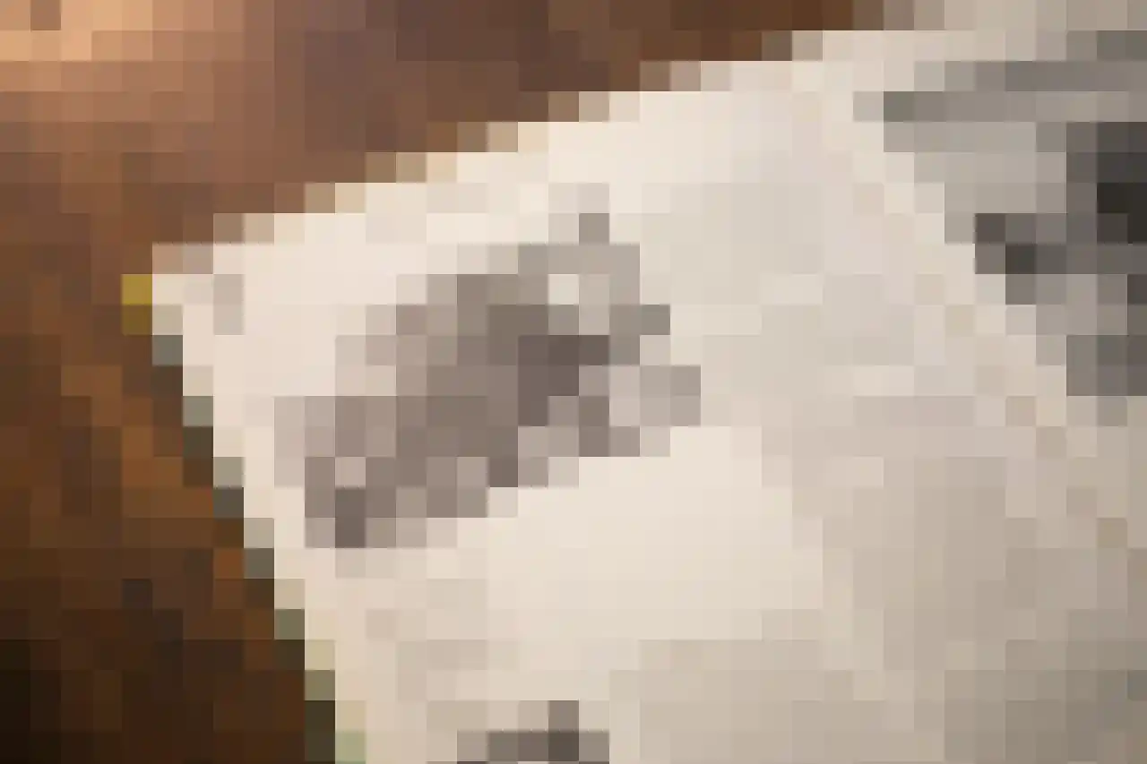 Huismansweg 13 Schoorl thumbnail 29