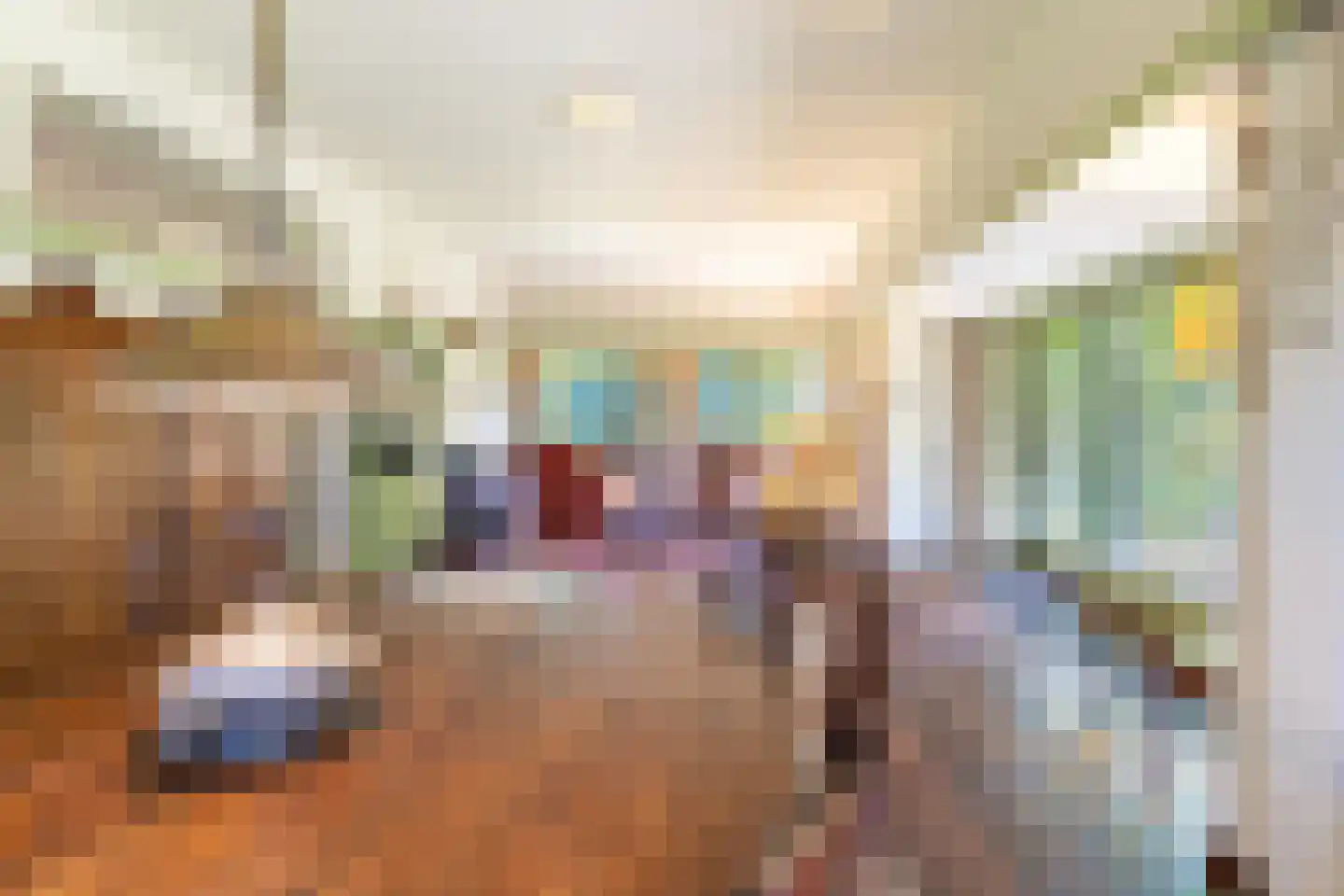 Huismansweg 13 Schoorl thumbnail 32