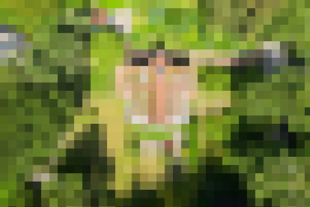 Huismansweg 13 Schoorl thumbnail 4