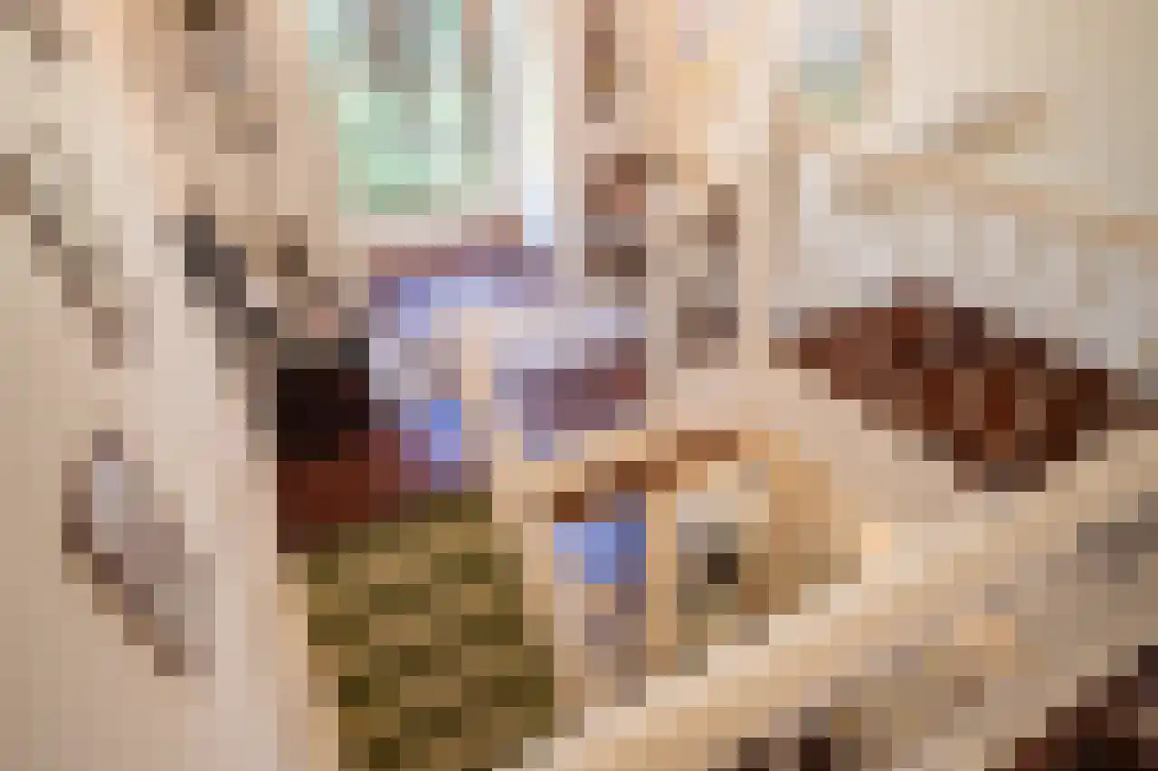Huismansweg 13 Schoorl thumbnail 48